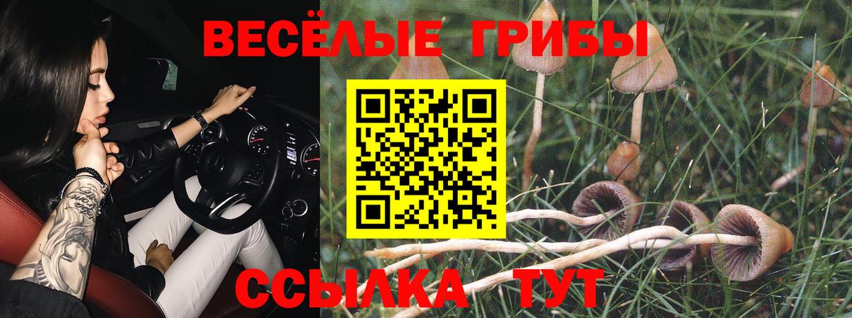 Псилоцибиновые грибы мухоморы  Вход с VPN  Ейск 